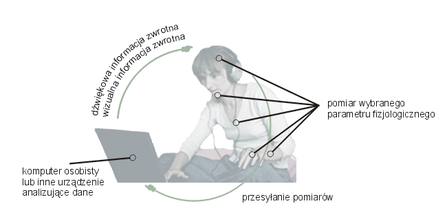 The Quiet Storm Before the Migraine: How Biofeedback Is Catching Warning Signals Hours Before the Pain Begins